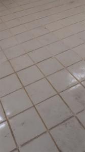 河南栗子園食品